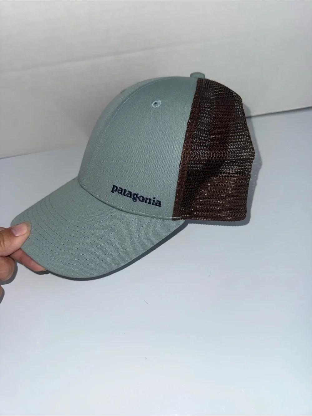 Patagonia men trucker